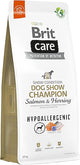 Brit Care Dog Chow Champion Somonlu ve Ringalı 12 kg Yetişkin Köpek Maması