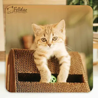 Felidae Kedi Tırmalama Kanepesi – Dikey Tırmalama CS7 - Large (Dark Wood)