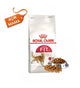 Royal Canin Fit 32 Yetişkin Kedi Maması 4 kg