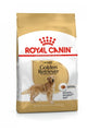 Royal Canin Golden Retriever 12 kg Yetişkin Köpek Maması