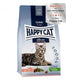 Happy Cat Atlantic Lachs Somonlu Yetişkin Kedi Maması 10 kg