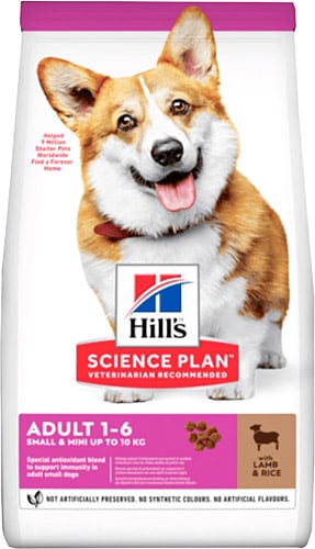 Hill's Adult Small Miniature Kuzu Etli 6 kg Küçük Irk Yetişkin Köpek Maması