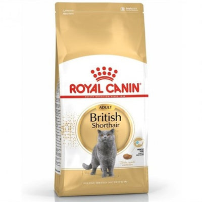 British Shorthair Için Özel Yetişkin Kedi Maması 10 kg